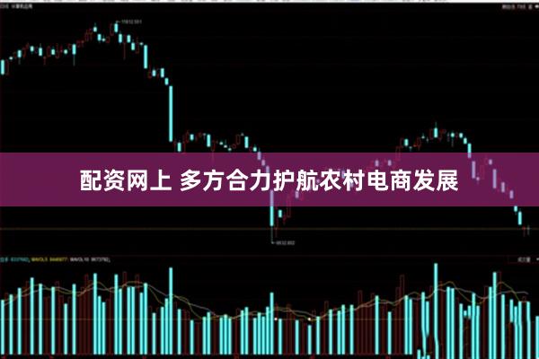配资网上 多方合力护航农村电商发展