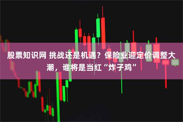 股票知识网 挑战还是机遇？保险业迎定价调整大潮，谁将是当红“炸子鸡”