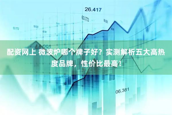配资网上 微波炉哪个牌子好？实测解析五大高热度品牌，性价比最高！