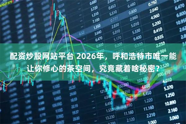 配资炒股网站平台 2026年，呼和浩特市唯一能让你修心的茶空间，究竟藏着啥秘密？